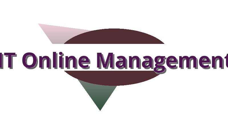 IT Online Management Logo